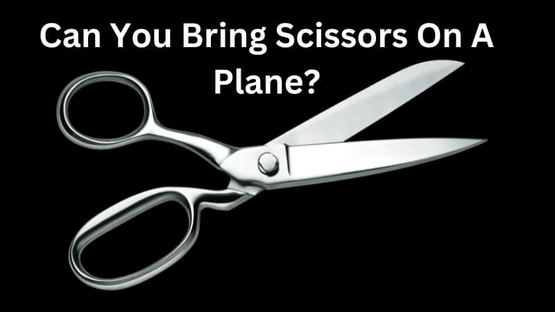 Can You Bring Scissors On A Plane Things You Must Know 